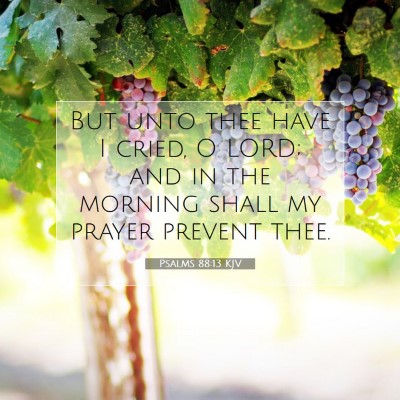 Picture 07 - Psalms 88:13 KJV - But unto thee have I cried, O LORD; and in the - Bible Verse Picture