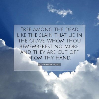 Picture 07 - Psalms 88:5 KJV - Free among the dead, like the slain that lie in - Bible Verse Picture