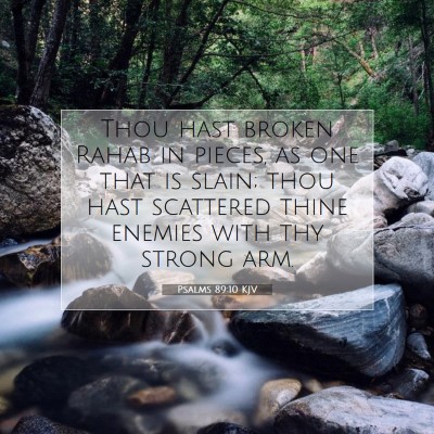 Picture 07 - Psalms 89:10 KJV - Thou hast broken Rahab in pieces, as one that is - Bible Verse Picture