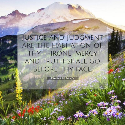 Picture 07 - Psalms 89:14 KJV - Justice and judgment are the habitation of thy - Bible Verse Picture