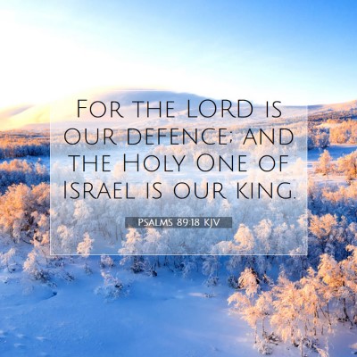 Picture 07 - Psalms 89:18 KJV - For the LORD is our defence; and the Holy One of - Bible Verse Picture