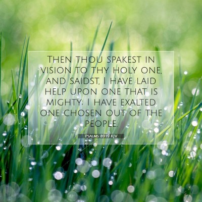 Picture 07 - Psalms 89:19 KJV - Then thou spakest in vision to thy holy one, and - Bible Verse Picture