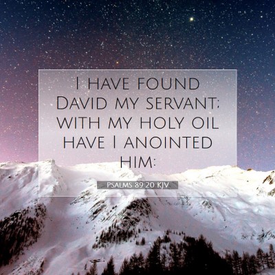 Picture 07 - Psalms 89:20 KJV - I have found David my servant; with my holy oil - Bible Verse Picture