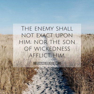Picture 07 - Psalms 89:22 KJV - The enemy shall not exact upon him; nor the son - Bible Verse Picture