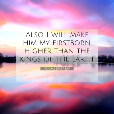 Picture 07 - Psalms 89:27 KJV - Also I will make him my firstborn, higher than - Bible Verse Picture