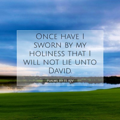 Picture 07 - Psalms 89:35 KJV - Once have I sworn by my holiness that I will not - Bible Verse Picture