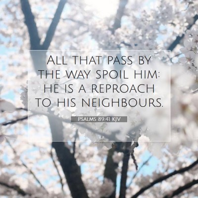 Picture 07 - Psalms 89:41 KJV - All that pass by the way spoil him: he is a - Bible Verse Picture