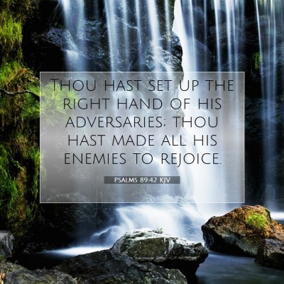 Picture 07 - Psalms 89:42 KJV - Thou hast set up the right hand of his - Bible Verse Picture