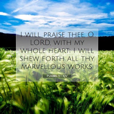 Picture 07 - Psalms 9:1 KJV - I will praise thee, O LORD, with my whole heart; - Bible Verse Picture