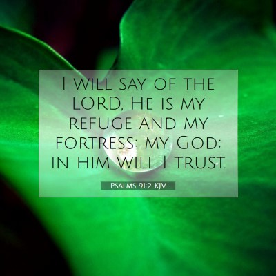 Picture 07 - Psalms 91:2 KJV - I will say of the LORD, He is my refuge and my - Bible Verse Picture