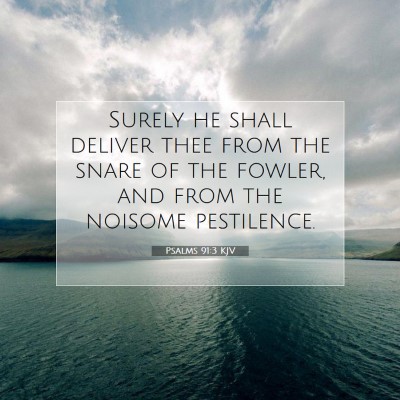 Picture 07 - Psalms 91:3 KJV - Surely he shall deliver thee from the snare of - Bible Verse Picture