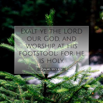 Picture 07 - Psalms 99:5 KJV - Exalt ye the LORD our God, and worship at his - Bible Verse Picture