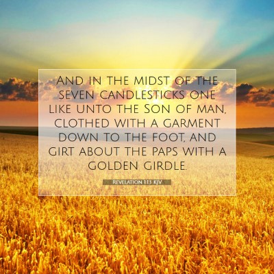 Picture 07 - Revelation 1:13 KJV - And in the midst of the seven candlesticks one - Bible Verse Picture