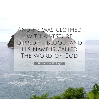 Picture 07 - Revelation 19:13 KJV - And he was clothed with a vesture dipped in - Bible Verse Picture