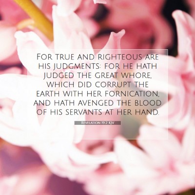 Picture 07 - Revelation 19:2 KJV - For true and righteous are his judgments: for he - Bible Verse Picture