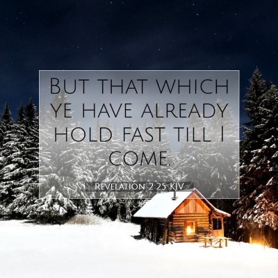 Picture 07 - Revelation 2:25 KJV - But that which ye have already hold fast till I - Bible Verse Picture
