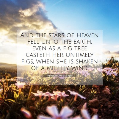 Picture 07 - Revelation 6:13 KJV - And the stars of heaven fell unto the earth, even - Bible Verse Picture