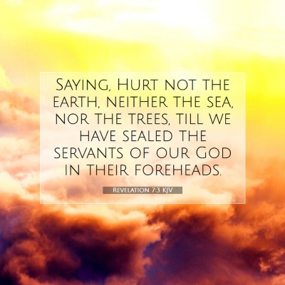 Picture 07 - Revelation 7:3 KJV - Saying, Hurt not the earth, neither the sea, nor - Bible Verse Picture