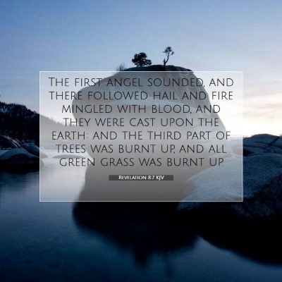 Picture 07 - Revelation 8:7 KJV - The first angel sounded, and there followed hail - Bible Verse Picture