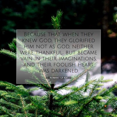Picture 07 - Romans 1:21 KJV - Because that, when they knew God, they glorified - Bible Verse Picture