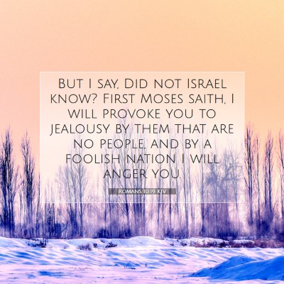 Picture 07 - Romans 10:19 KJV - But I say, Did not Israel know? First Moses - Bible Verse Picture