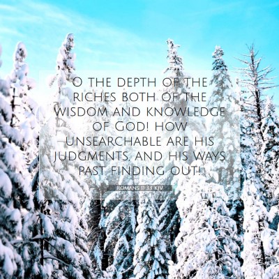 Picture 07 - Romans 11:33 KJV - O the depth of the riches both of the wisdom and - Bible Verse Picture