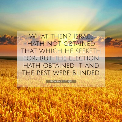 Picture 07 - Romans 11:7 KJV - What then? Israel hath not obtained that which he - Bible Verse Picture