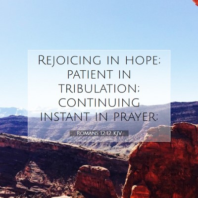 Picture 07 - Romans 12:12 KJV - Rejoicing in hope; patient in tribulation; - Bible Verse Picture