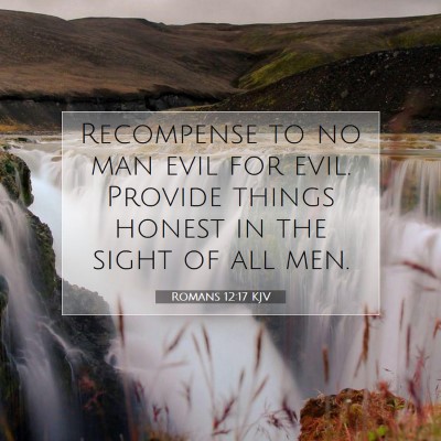 Picture 07 - Romans 12:17 KJV - Recompense to no man evil for evil. Provide - Bible Verse Picture