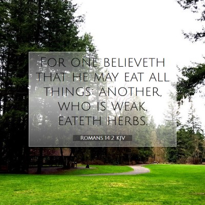 Picture 07 - Romans 14:2 KJV - For one believeth that he may eat all things: - Bible Verse Picture