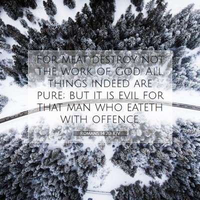 Picture 07 - Romans 14:20 KJV - For meat destroy not the work of God. All things - Bible Verse Picture