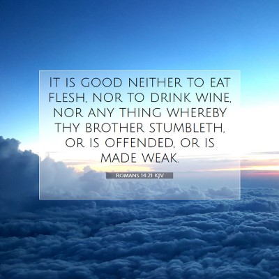 Picture 07 - Romans 14:21 KJV - It is good neither to eat flesh, nor to drink - Bible Verse Picture