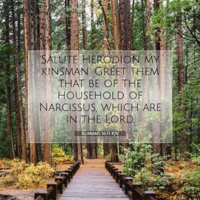 Picture 07 - Romans 16:11 KJV - Salute Herodion my kinsman. Greet them that be of - Bible Verse Picture