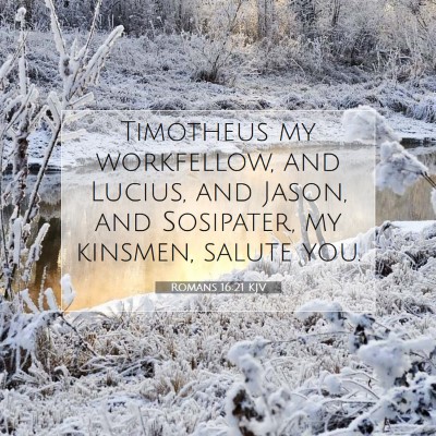 Picture 07 - Romans 16:21 KJV - Timotheus my workfellow, and Lucius, and Jason, - Bible Verse Picture