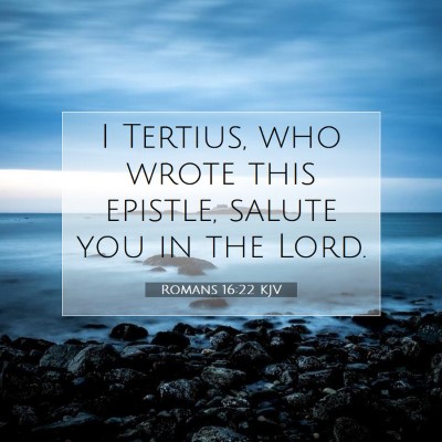 Picture 07 - Romans 16:22 KJV - I Tertius, who wrote this epistle, salute you in - Bible Verse Picture