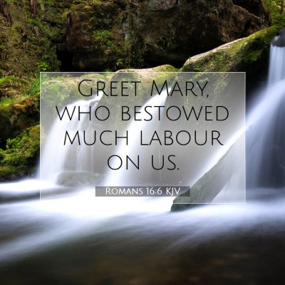 Picture 07 - Romans 16:6 KJV - Greet Mary, who bestowed much labour on - Bible Verse Picture