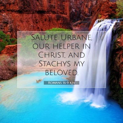Picture 07 - Romans 16:9 KJV - Salute Urbane, our helper in Christ, and Stachys - Bible Verse Picture