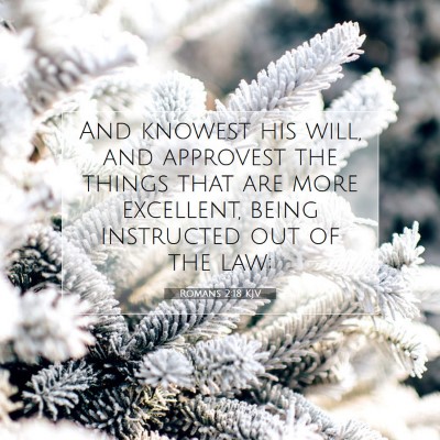 Picture 07 - Romans 2:18 KJV - And knowest his will, and approvest the things - Bible Verse Picture