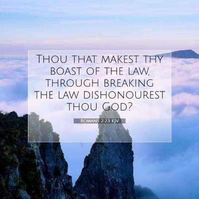 Picture 07 - Romans 2:23 KJV - Thou that makest thy boast of the law, through - Bible Verse Picture