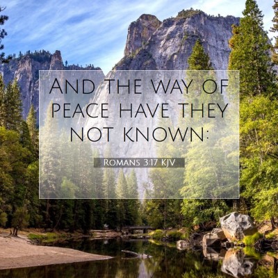 Picture 07 - Romans 3:17 KJV - And the way of peace have they not - Bible Verse Picture