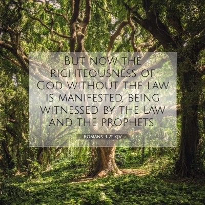 Picture 07 - Romans 3:21 KJV - But now the righteousness of God without the law - Bible Verse Picture