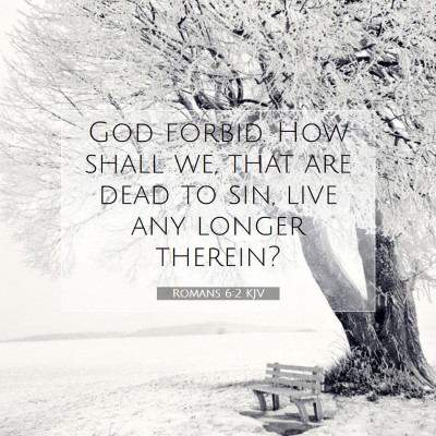 Picture 07 - Romans 6:2 KJV - God forbid. How shall we, that are dead to sin, - Bible Verse Picture