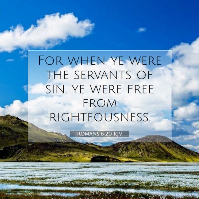 Picture 07 - Romans 6:20 KJV - For when ye were the servants of sin, ye were - Bible Verse Picture