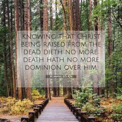 Picture 07 - Romans 6:9 KJV - Knowing that Christ being raised from the dead - Bible Verse Picture
