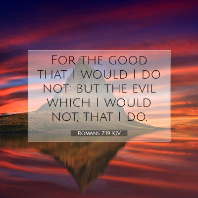 Picture 07 - Romans 7:19 KJV - For the good that I would I do not: but the evil - Bible Verse Picture