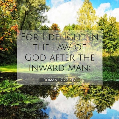 Picture 07 - Romans 7:22 KJV - For I delight in the law of God after the inward - Bible Verse Picture