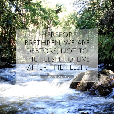 Picture 07 - Romans 8:12 KJV - Therefore, brethren, we are debtors, not to the - Bible Verse Picture