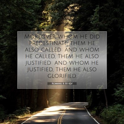 Picture 07 - Romans 8:30 KJV - Moreover whom he did predestinate, them he also - Bible Verse Picture