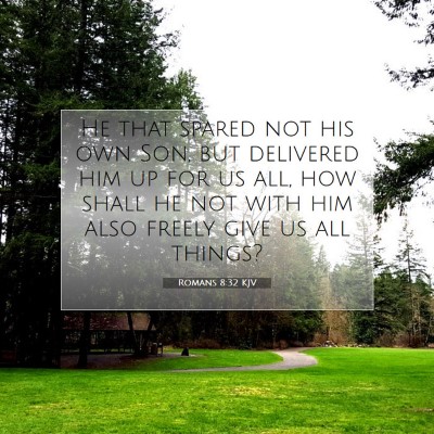 Picture 07 - Romans 8:32 KJV - He that spared not his own Son, but delivered him - Bible Verse Picture