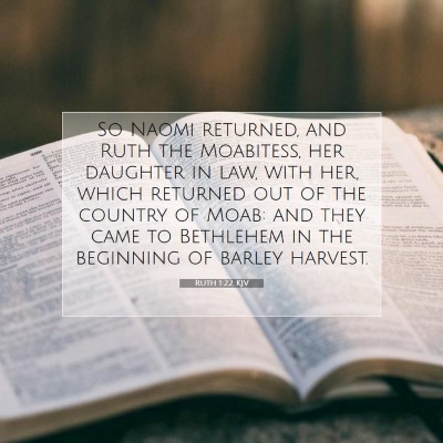 Picture 07 - Ruth 1:22 KJV - So Naomi returned, and Ruth the Moabitess, her - Bible Verse Picture